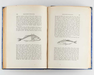 COUCH, Jonathan. A History of the Fishes of the British Islands. [[bmid:2125975g]]
