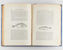 Load image into Gallery viewer, COUCH, Jonathan. A History of the Fishes of the British Islands. [[bmid:2125975g]]