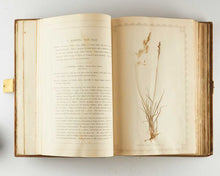 Load image into Gallery viewer, HANHAM, Frederick ( editor ). Natural Illustrations of the British Grasses. [[bmid:2126340b]]