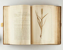 Load image into Gallery viewer, HANHAM, Frederick ( editor ). Natural Illustrations of the British Grasses. [[bmid:2126340c]]