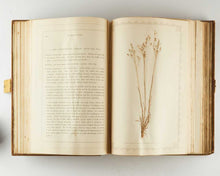 Load image into Gallery viewer, HANHAM, Frederick ( editor ). Natural Illustrations of the British Grasses. [[bmid:2126340d]]