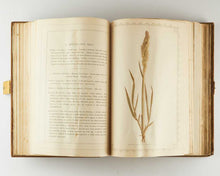 Load image into Gallery viewer, HANHAM, Frederick ( editor ). Natural Illustrations of the British Grasses. [[bmid:2126340e]]