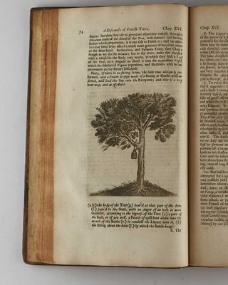 EVELYN, John. Sylva, Or a Discourse of Forest-Trees … Terra, a Philosophical Essay of Earth … which is annexed Pomona: Or, an Appendix concerning Fruit-Trees in relation to Cider … Also Kalendarium Hortense … In this Third Edition much Inlarged, and Impr… [[bmid:2126354b]]