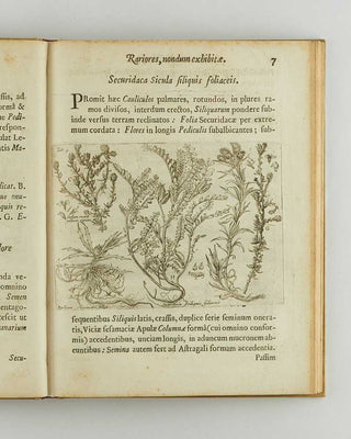 BOCCONE, Paolo. Icones & descriptiones rariorum plantarum Siciliae, Melitae, Galliae, & Italiae. [[bmid:2126710c]]