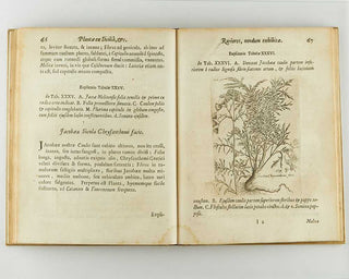 BOCCONE, Paolo. Icones & descriptiones rariorum plantarum Siciliae, Melitae, Galliae, & Italiae. [[bmid:2126710d]]
