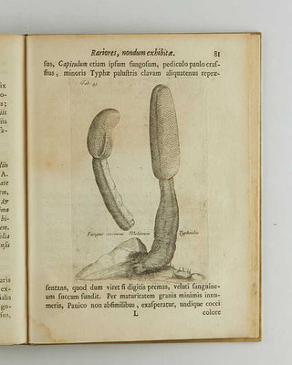 BOCCONE, Paolo. Icones & descriptiones rariorum plantarum Siciliae, Melitae, Galliae, & Italiae. [[bmid:2126710e]]