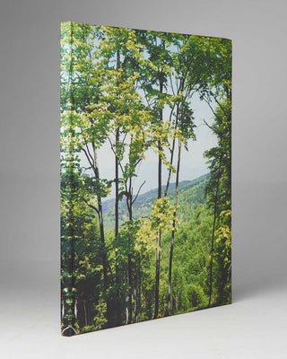 JANSSEN, Cuny. Macedonia, Portraits and Landscapes.