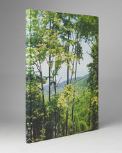 Load image into Gallery viewer, JANSSEN, Cuny. Macedonia, Portraits and Landscapes.