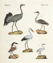 Load image into Gallery viewer, Heron; Egret