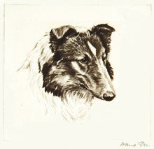 Load image into Gallery viewer, Collie