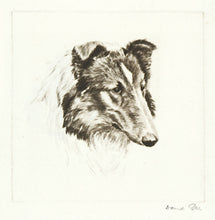 Load image into Gallery viewer, Collie