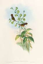 Load image into Gallery viewer, Blossom-crown