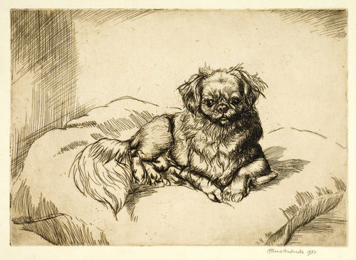 Pekinese