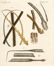 Load image into Gallery viewer, A Human Hair and an Animal Hair