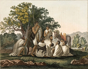 Vol VII No 31: Abyssinians, resting en route