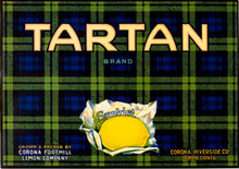 Load image into Gallery viewer, Tartan
