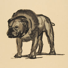 Load image into Gallery viewer, Bull-dog