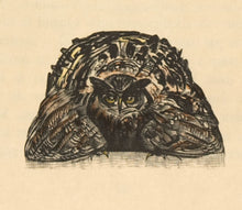 Load image into Gallery viewer, Owl