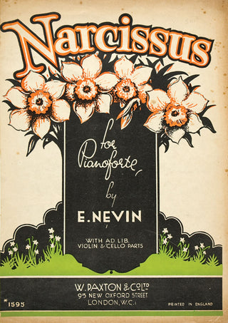 Narcissus