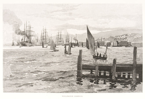 Wellington Harbour
