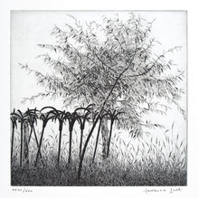 Load image into Gallery viewer, Lio Piccolo: le ancore