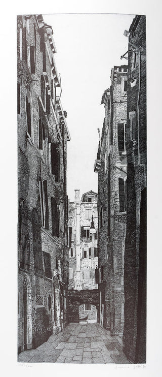 Venice Series - the complete portfolio