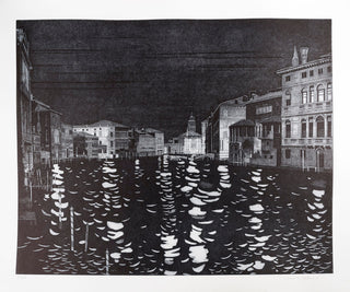 Venice Series - the complete portfolio