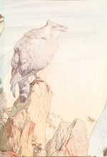 Load image into Gallery viewer, The Eagle and the Beetle