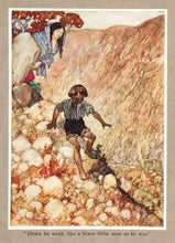 Load image into Gallery viewer, Down he went, like a brave little man as he was