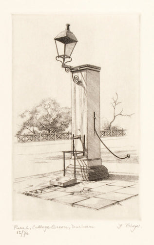 Pump, College Green, Durham