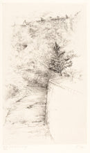 Load image into Gallery viewer, Water of Leith, Edinburgh