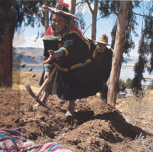 Pioneering The 12th Rolex Awards for Enterprise