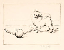 Load image into Gallery viewer, Pomeranian