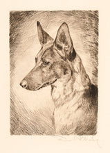 Load image into Gallery viewer, German Shepherd