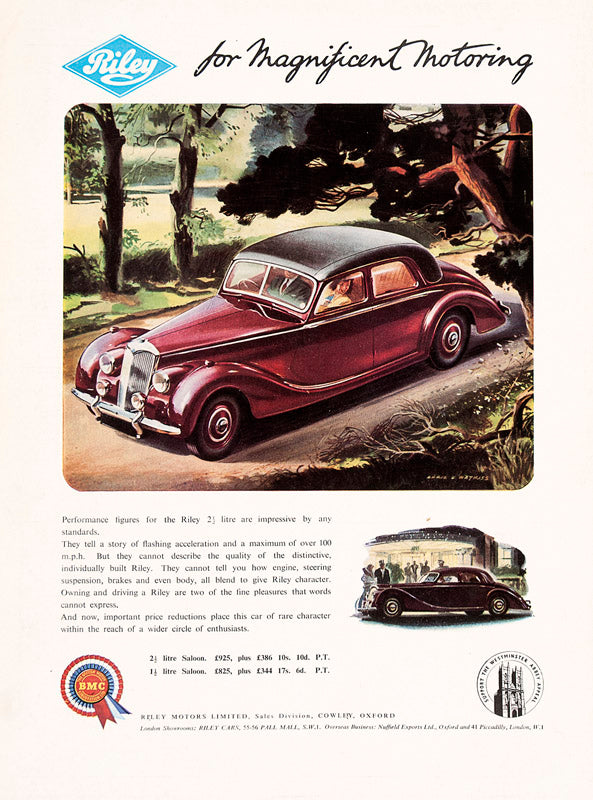 Riley for Magnificent Motoring