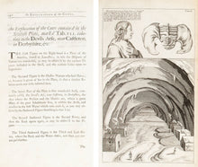 Load image into Gallery viewer, The Cheshire Woman who had Horns