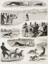Load image into Gallery viewer, A Day's Coursing on the Downs at Plumpton