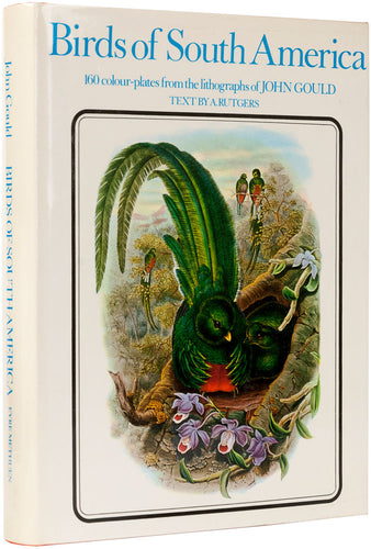 Birds of South America