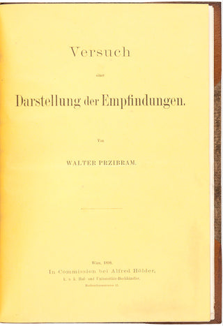 Versuch einer Darstellung der Empfindungen