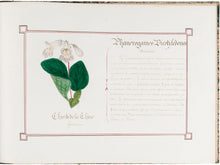 Load image into Gallery viewer, Botanical Album with Original Illustrations of Flowers