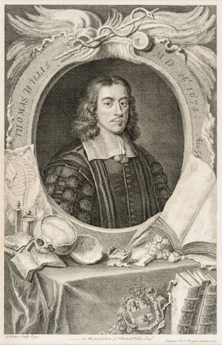 Thomas Willis
