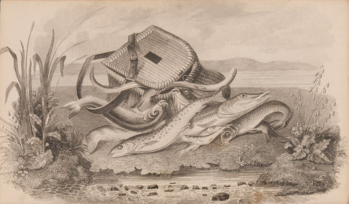 The Angler's Manual; Or, Fly-Fisher's Oracle. With a Brief Compendium