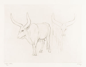 Ankole Watusi Cattle