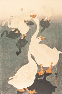 Six Geese