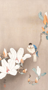Blue Bird and Magnolia