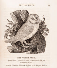 Load image into Gallery viewer, A History of British Birds. Vol. I. containing the History and …