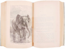 Load image into Gallery viewer, The Lion and the Elephant