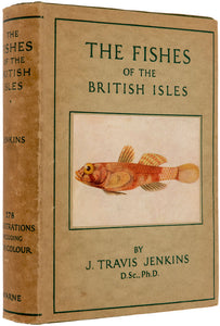 Fishes of The British Isles, Both Fresh Water and Salt
