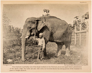 A Treatise on Elephants. Their Treatment in Health and Disease