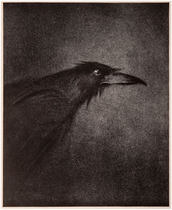The Raven together with the Philosophy of Composition